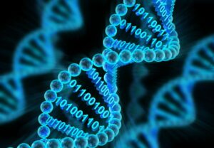 DNA molecules with binary code