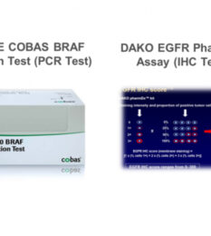 Post thumbnail Understanding the Implications of the New IVDR for Companion Diagnostics (CDx)