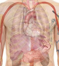 Post thumbnail Pharmacokinetics