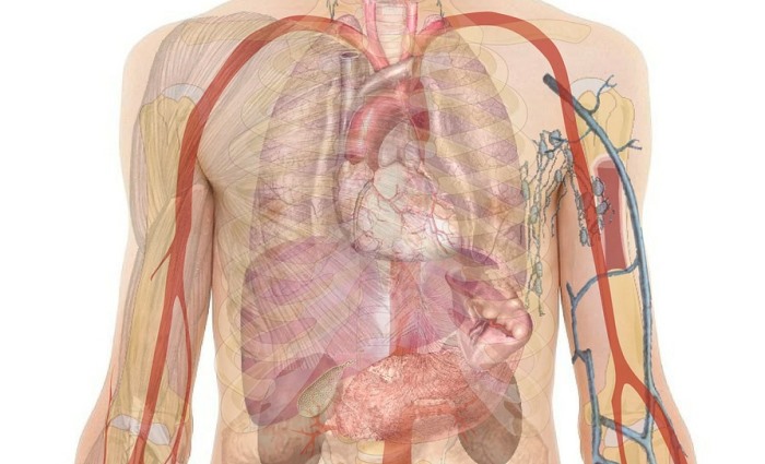 Post thumbnail Pharmacokinetics