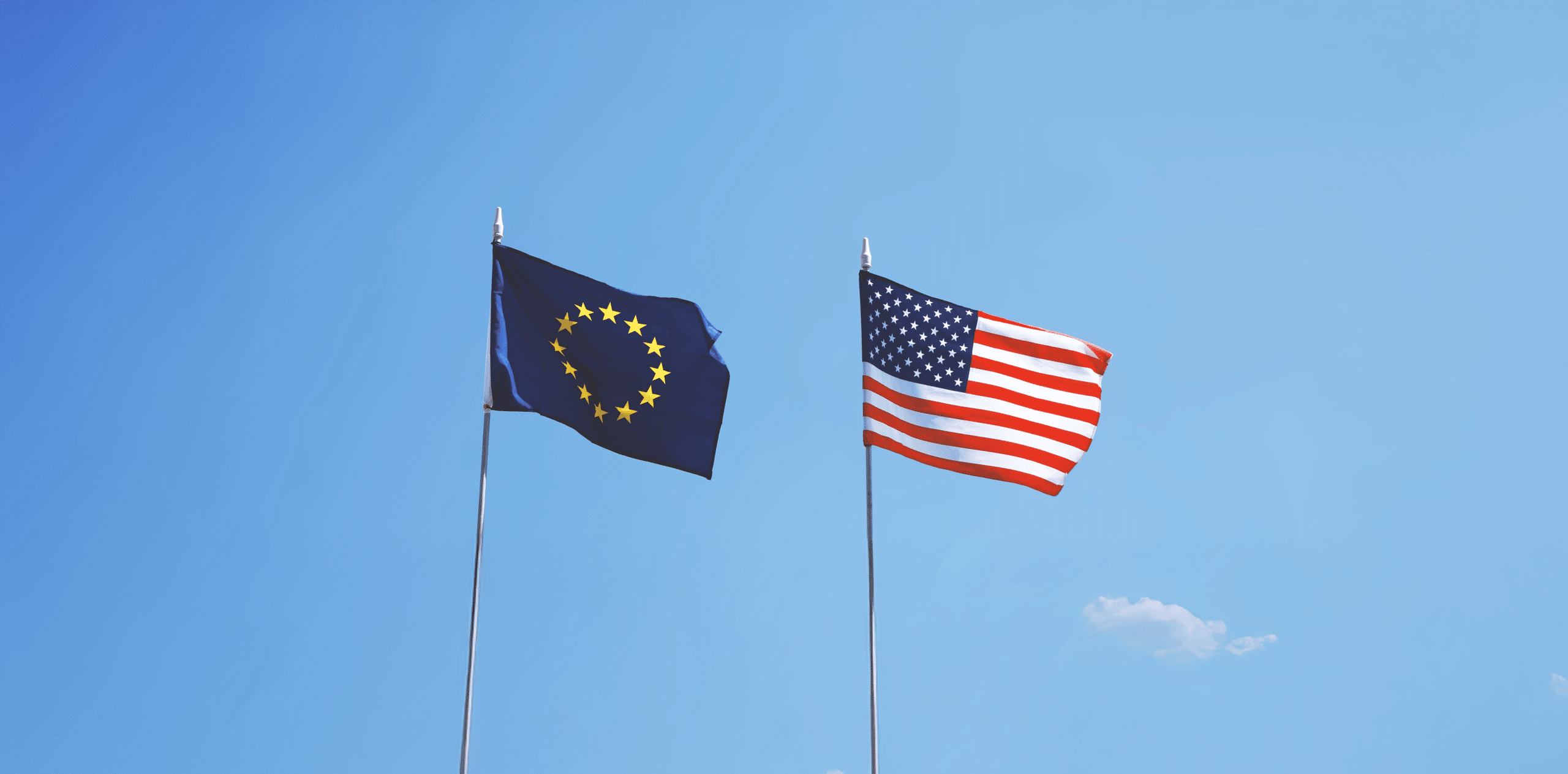 Regulatory pathway and agency interaction:  The EU vs the US