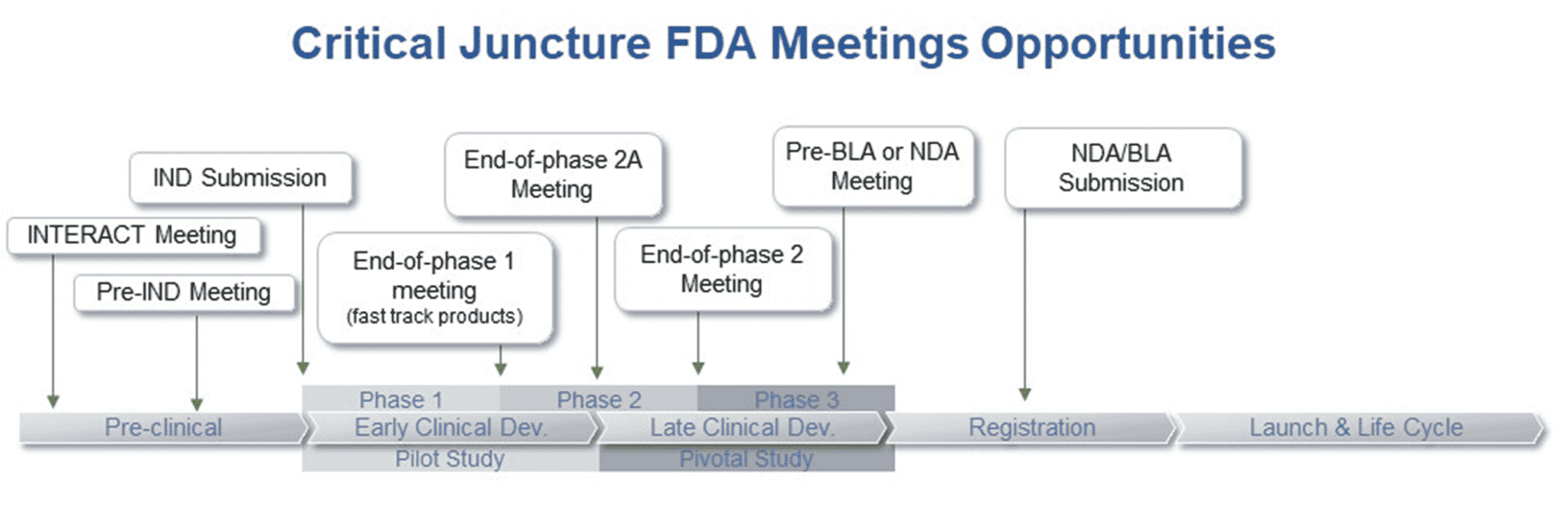 Critical Juncture FDA Meeting Opportunities