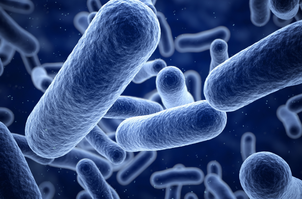 Post thumbnail The EU Regulatory Framework for Microbiota Transplants: An Industry Perspective