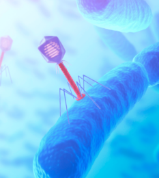 Post thumbnail A deep dive into the regulatory framework for Phage Medicinal Products