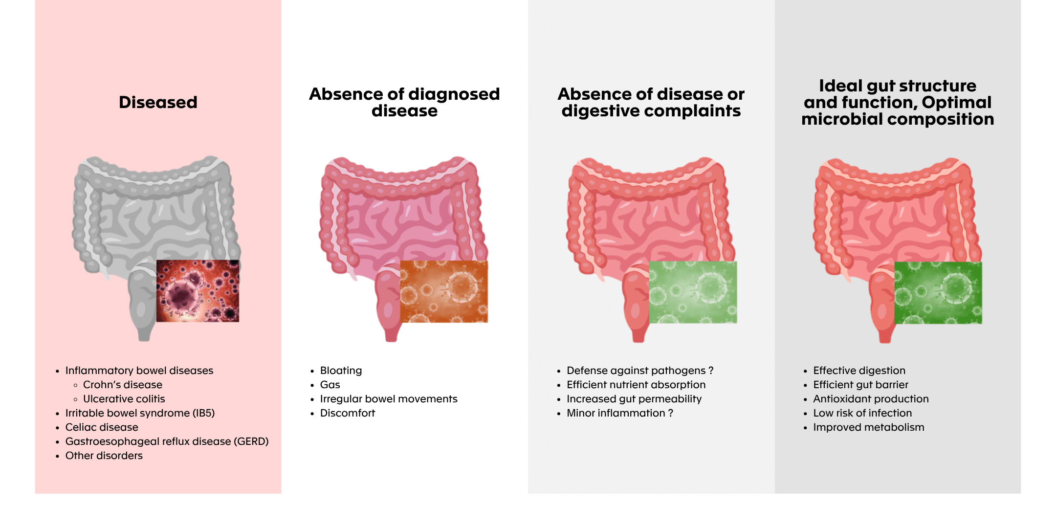 A healthy gut - Microbiome