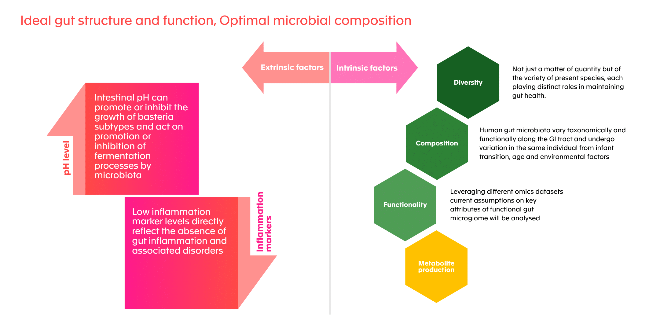 Factors identified as healthy gut markers