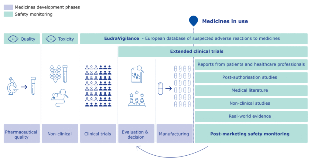 Taken from "From Laboratory To Patients, How the safety of Medicines is ensured in the European Union"